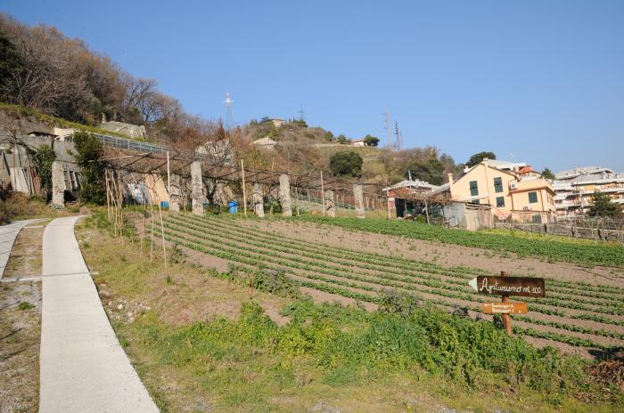 Borzoli: agriturismo