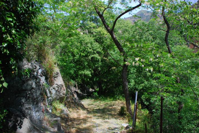 Ancora Via Rivassa: sentiero nel verde