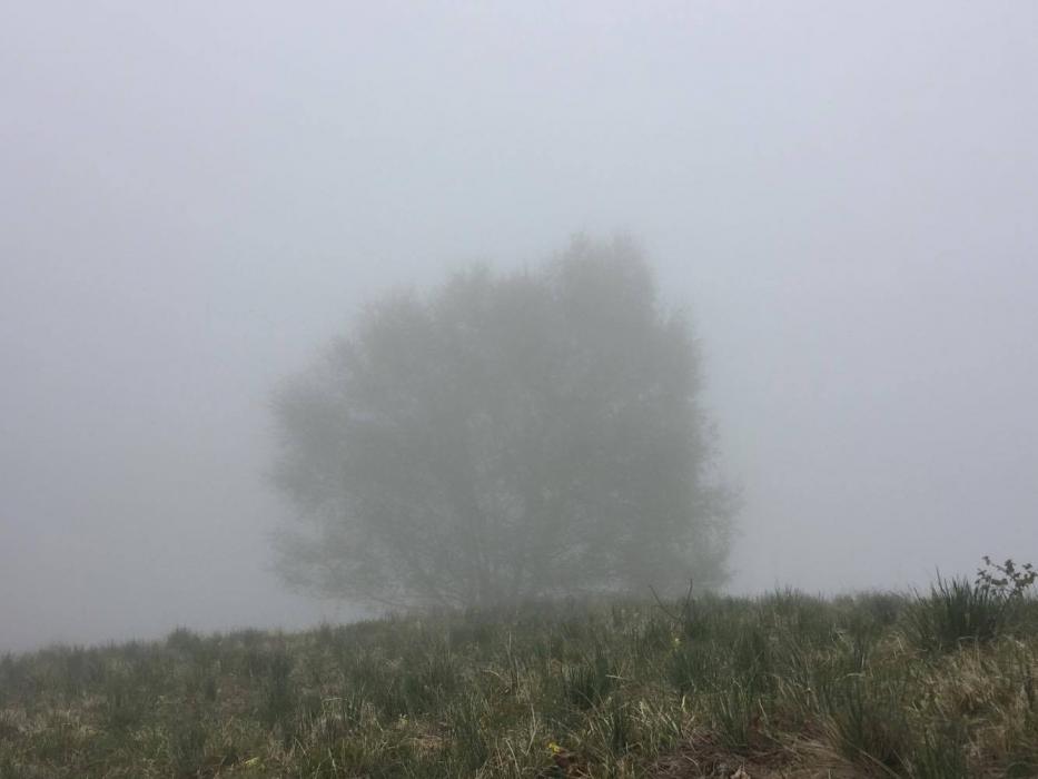 La nebbia diventa sempre più spessa