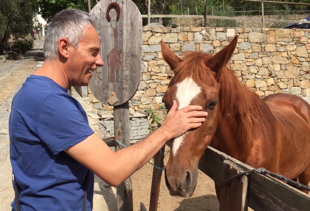 Papa Francesco: «Salvare il mondo si può» Cesare con cavallo.